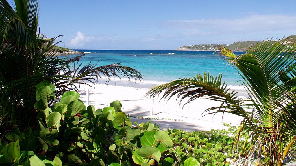 Tropical Hotel St Barth Gustavia Luaran gambar